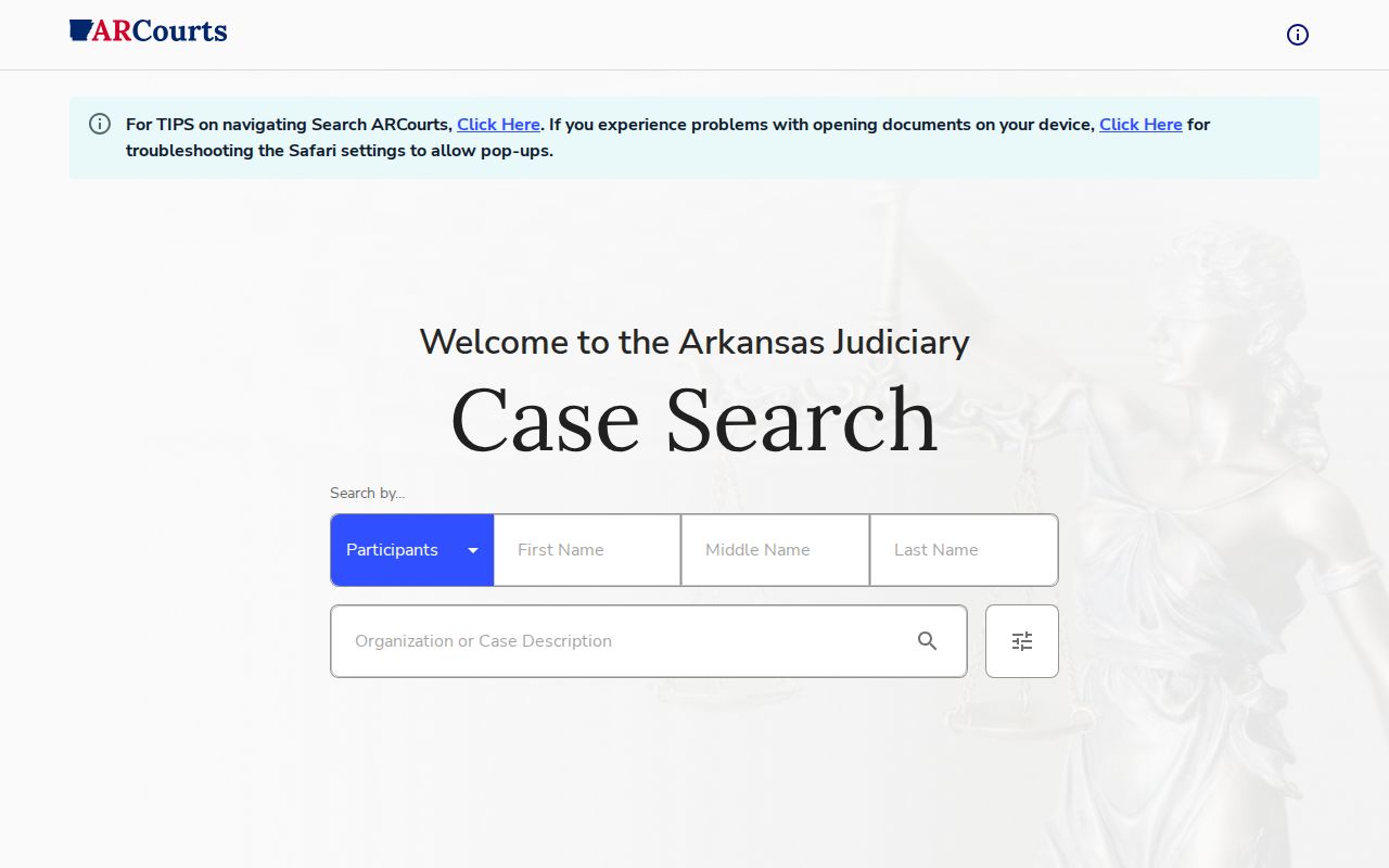 White County criminal court case search interface